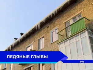 На Бору инспекторы ГЖИ проверили 40 домов и выявили 32 нарушения содержания кровель